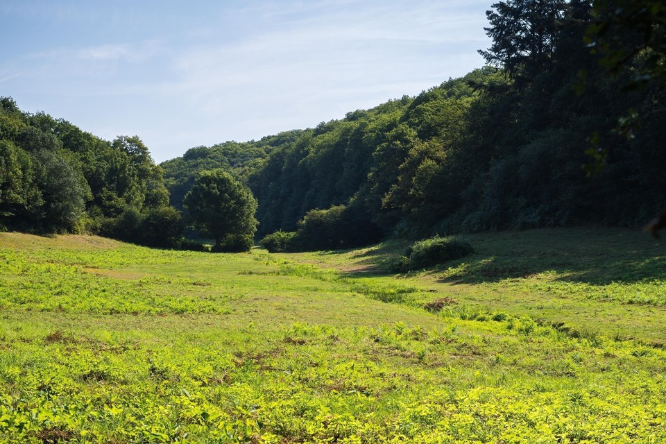 Sentier du Berliquet