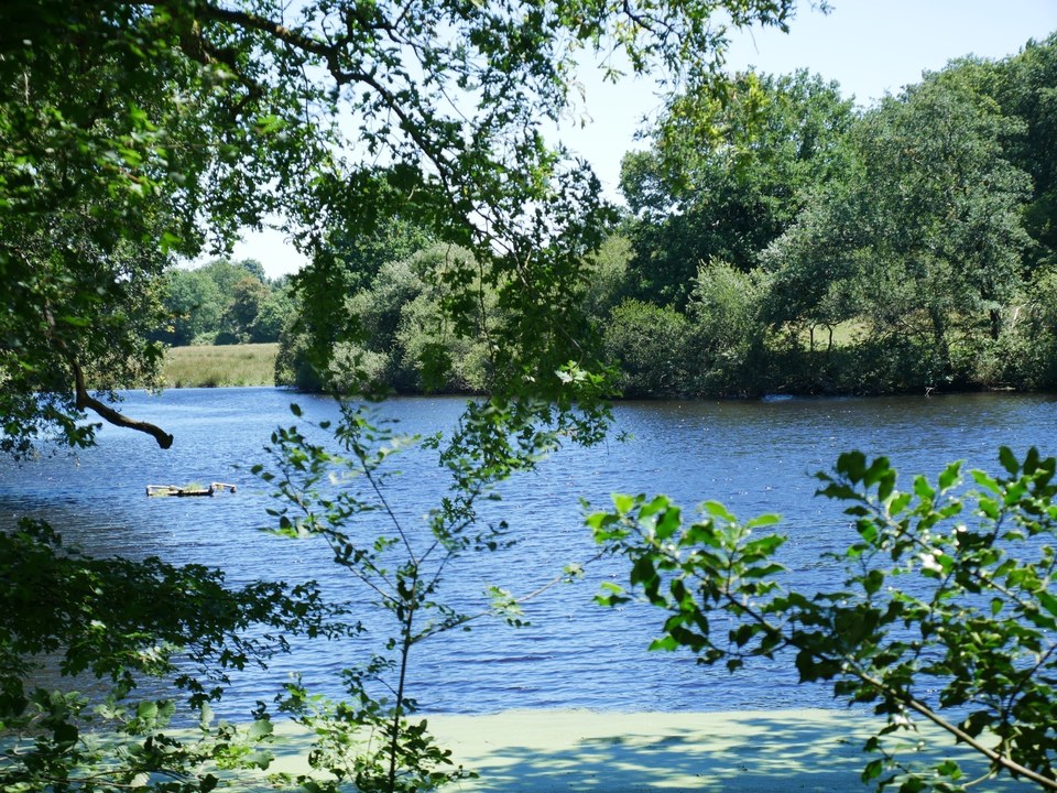 Sentier du Berliquet - Saint-Étienne-de-Montluc