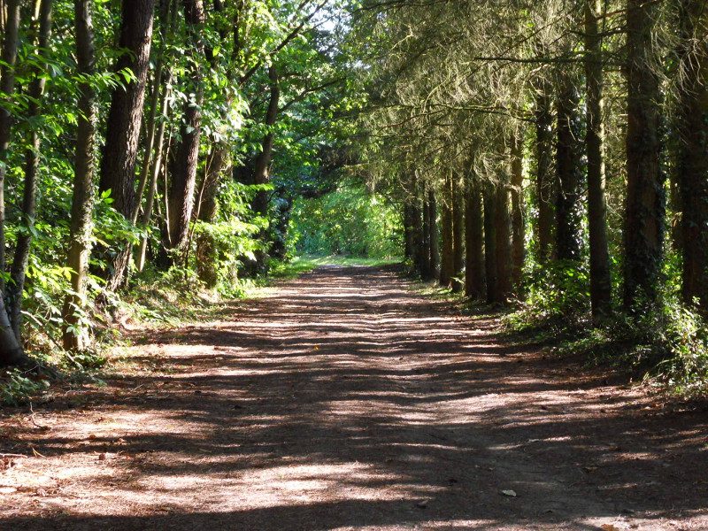 Sentier Bernugat_2