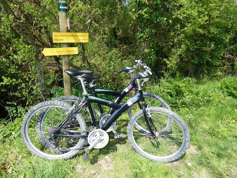 Entre chaumières et marais_2