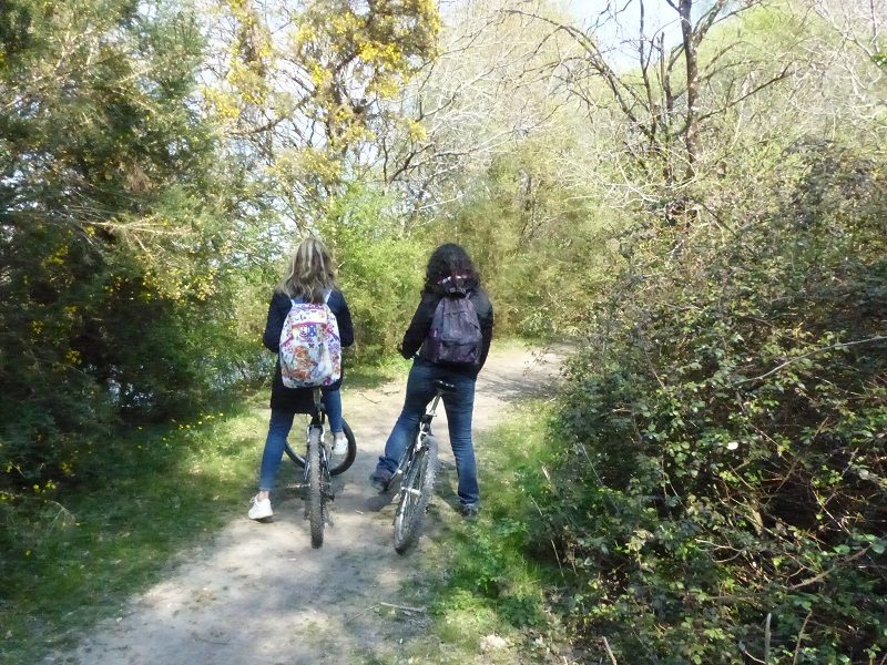 Entre chaumières et marais_3
