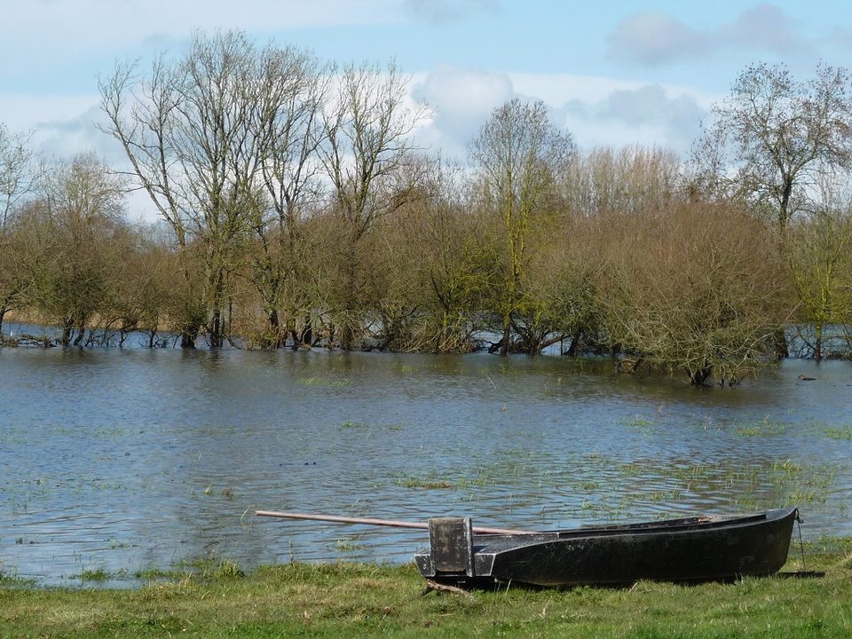 L'Acheneau