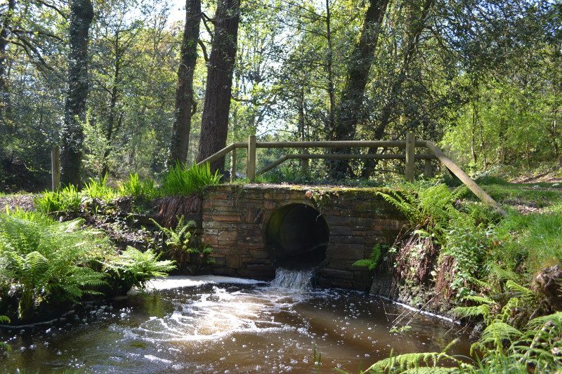 pont de la Barbotte_1