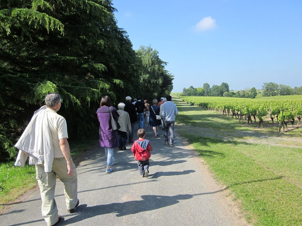 circuit-coteaux-vallet-levignoblenantes-tourisme (3)
