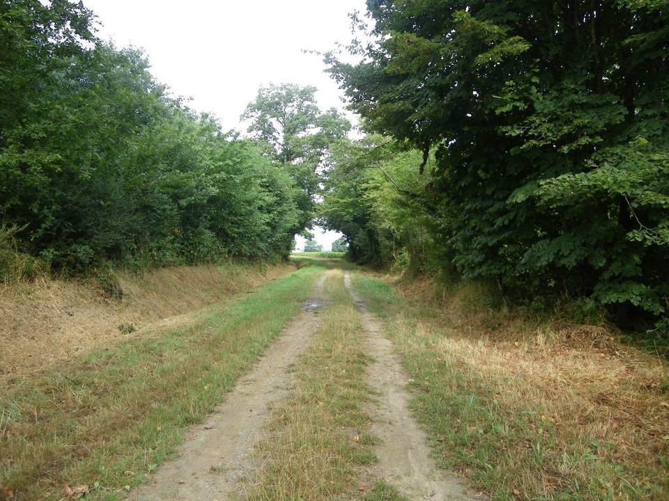 circuit-chateau-noe-vallet-levignobledenantes-tourisme(5)