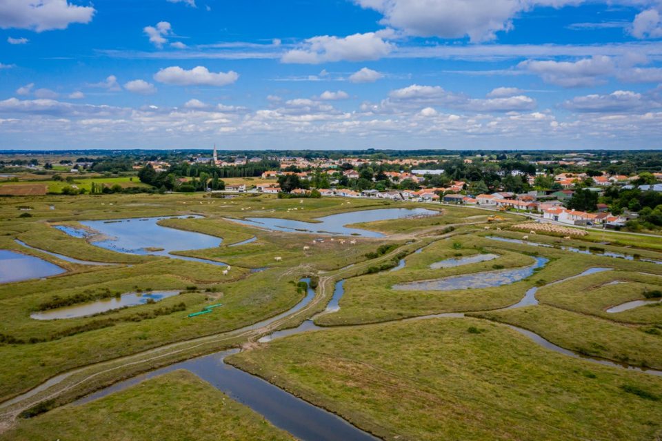 La beauté du Marais breton_3
