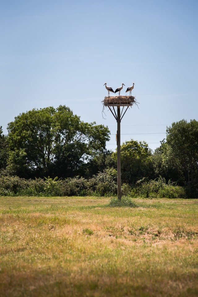 Circuit Les Coteaux - Vue_1