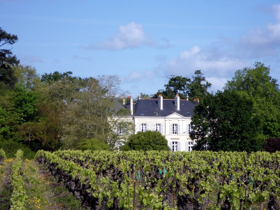 circuit-chateau-hte-goulaine-levignoblenantes-tourisme (1)