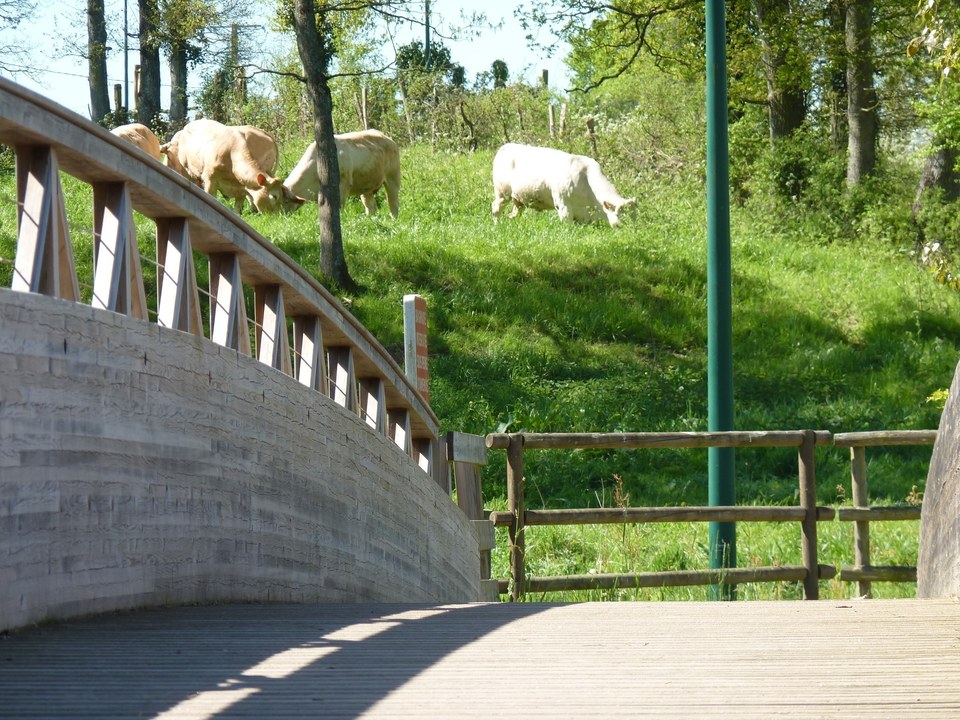 Circuit Passerelle