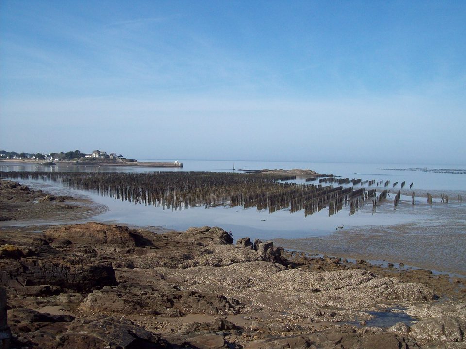 Entre Sel et Terre