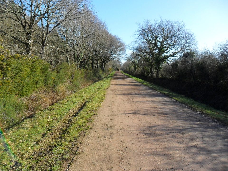 Circuit Entre sel terre - Assérac - chemin_3