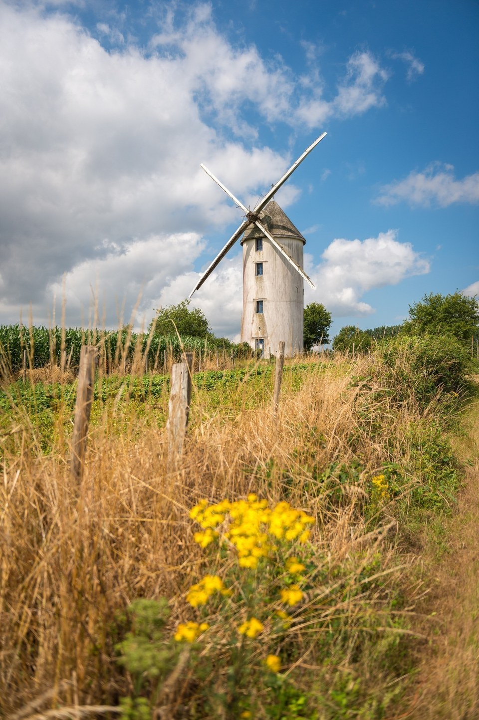 Sentier du Moulin - Campbon
