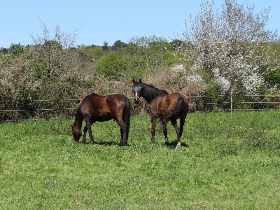 Sentier du Tertre