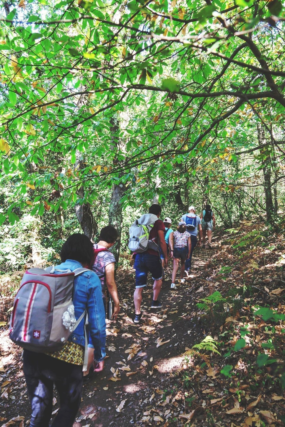 Sentier de la Coulée du Goust - Malville