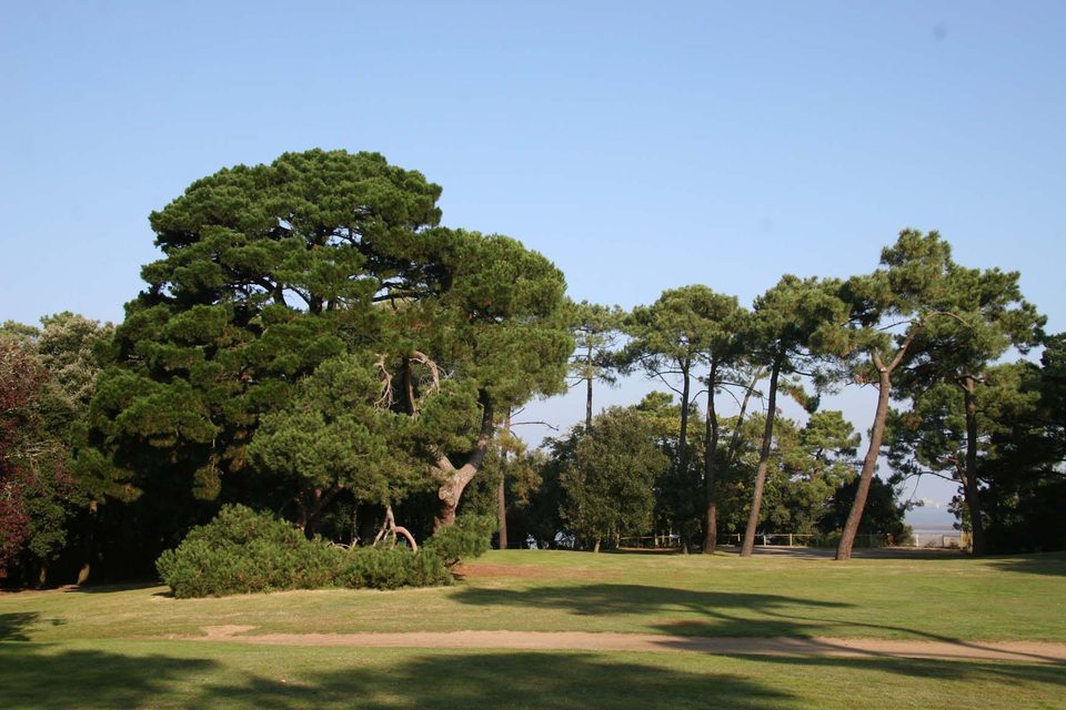 parc-du-pointeau-2-1485_2