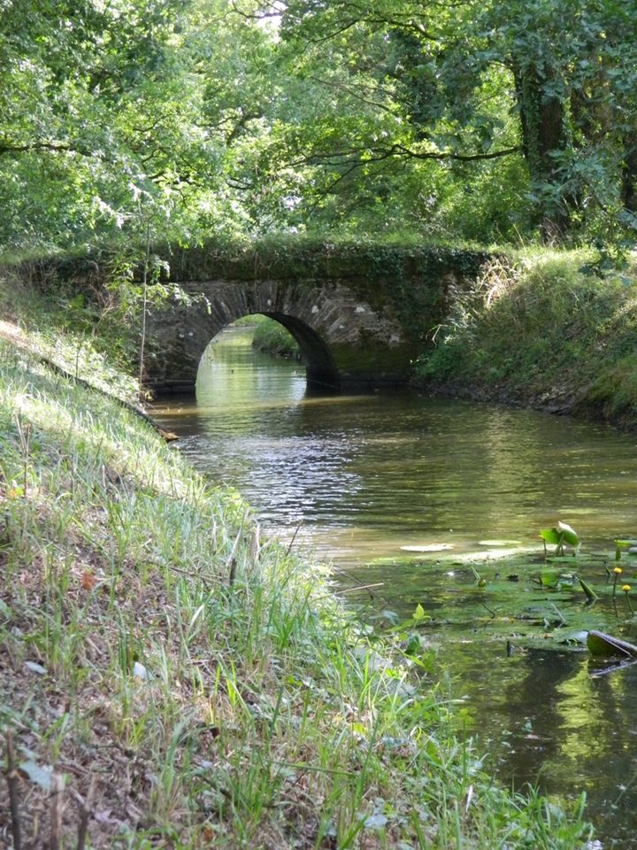 La-Provostière-Riaillé-44-ITI-3