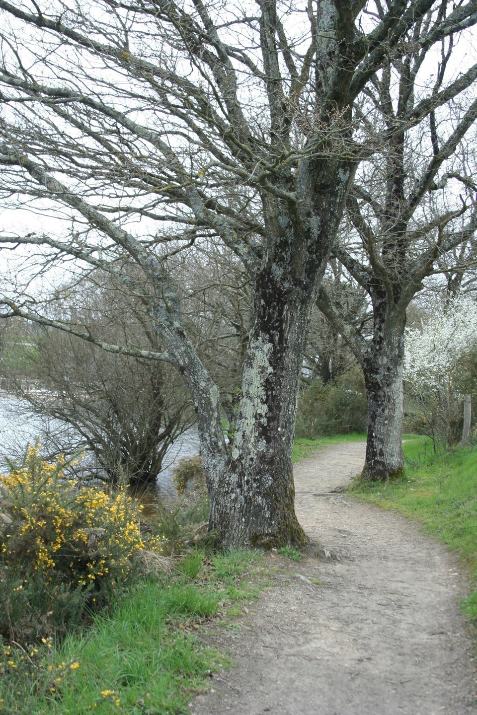 cirucit-des-etangs-riaille-44-iti-1