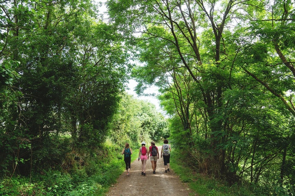 Sentier du Sillon de Bretagne