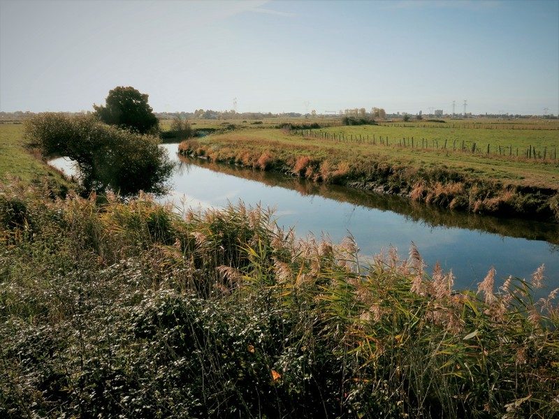 19-les-chaussees-st-malo-de-guersac-pont-du-pin-5-1373671