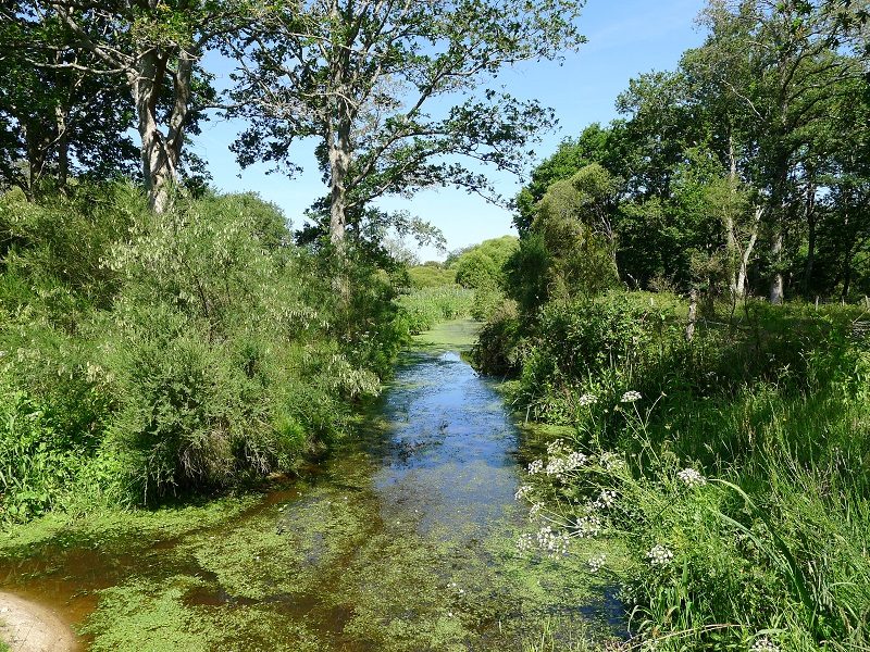 Le Vol du Colvert