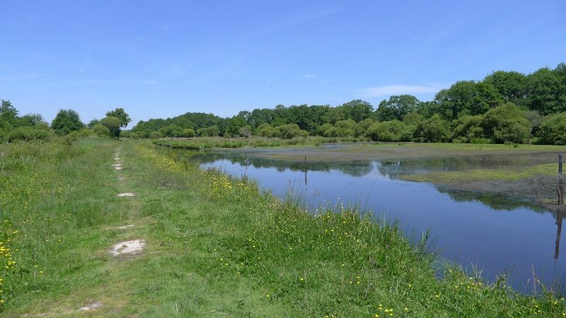 Le Vol du Colvert