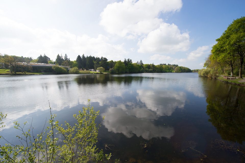 Sentier du Marais Fresnier - Savenay