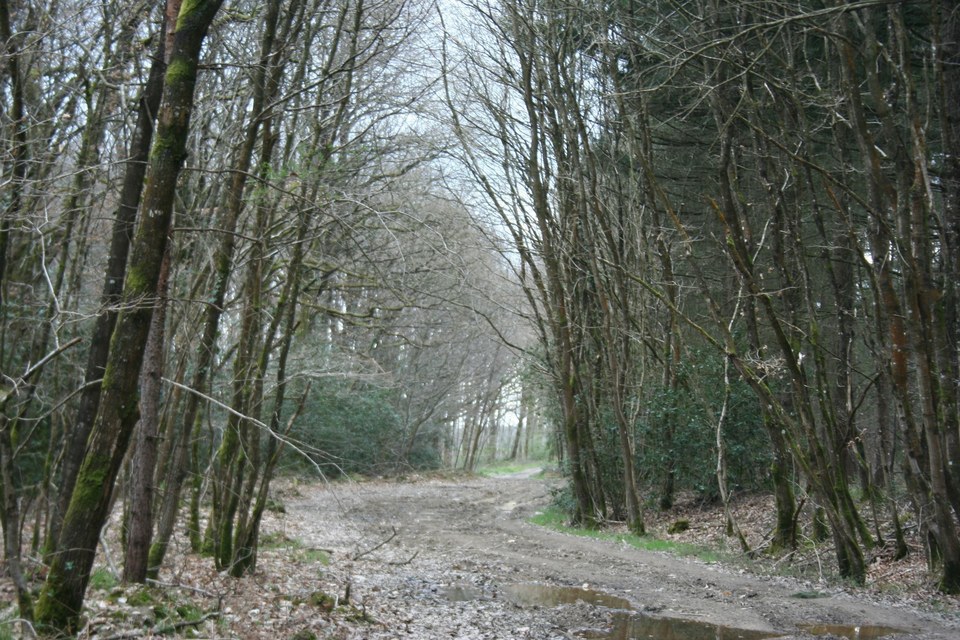 Base départementale secteur Vioreau - N°6 - Noir - Vallée de l'Erdre