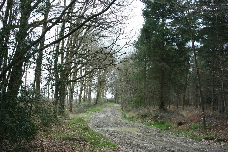 circuit-de-la-vallee-de-l-erdre-riaille-44-iti-3
