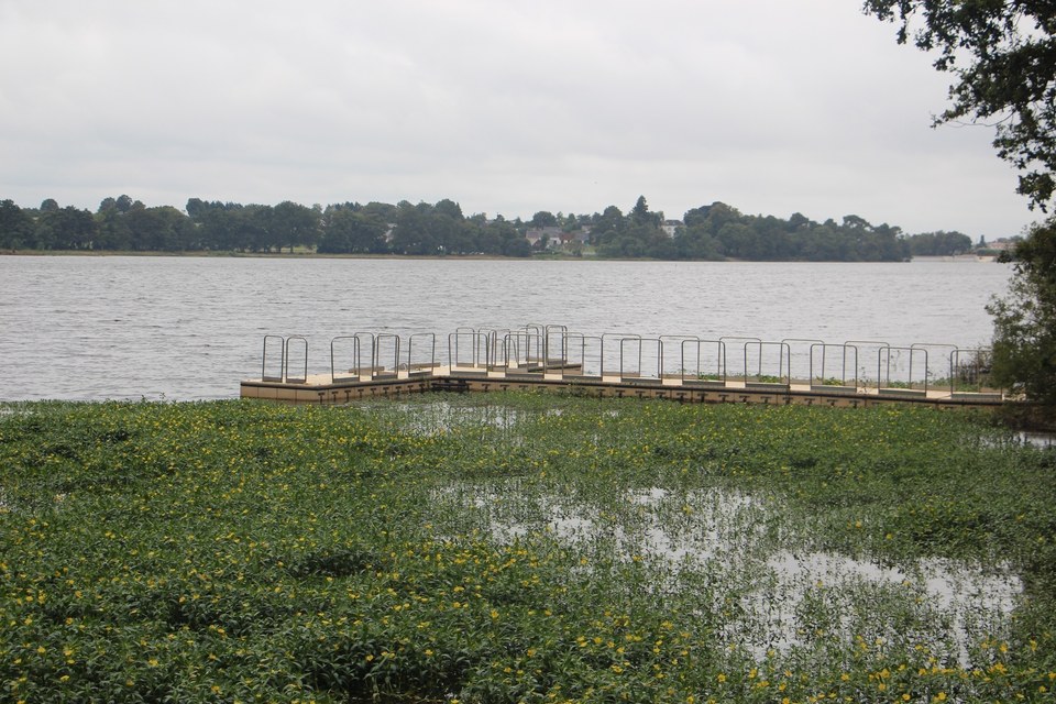 Lac de Vioreau