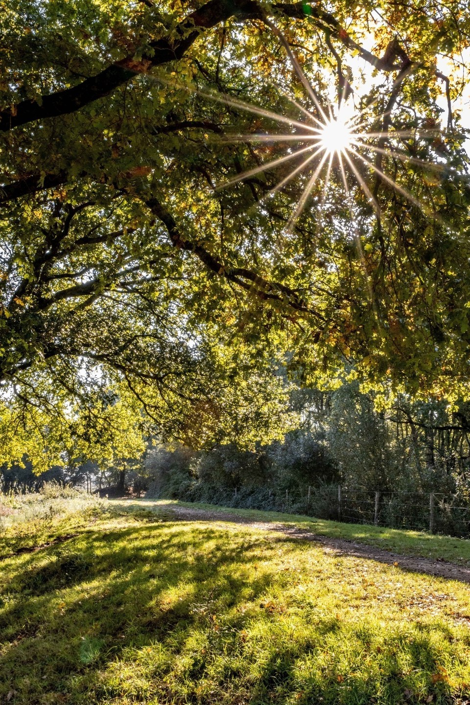 Marais et bocage