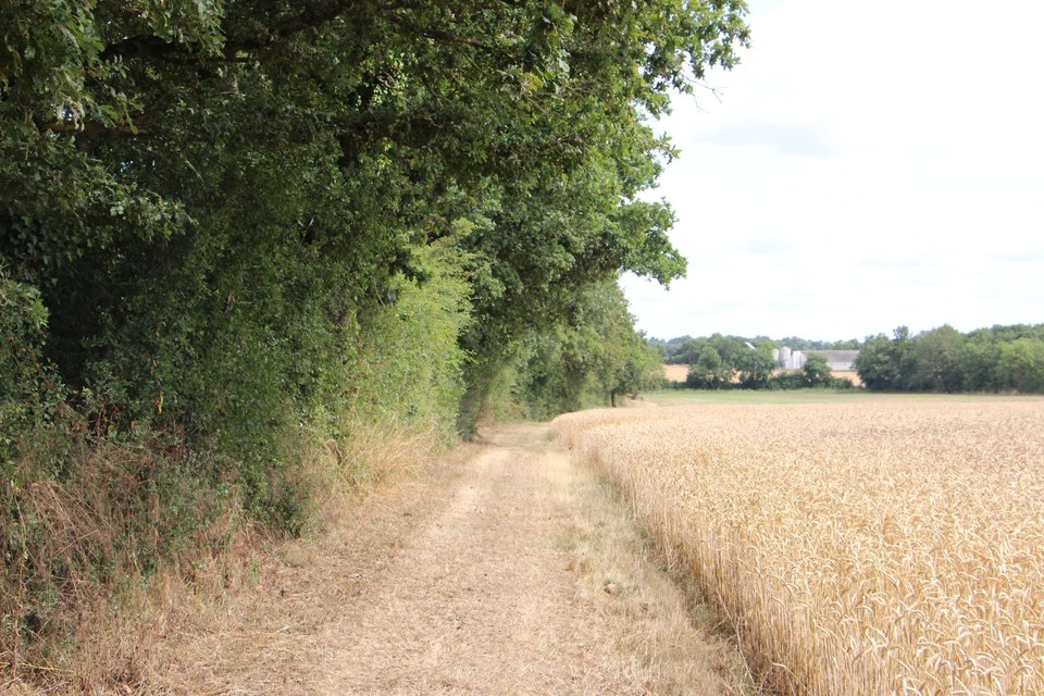 Le Moulin de Peltré