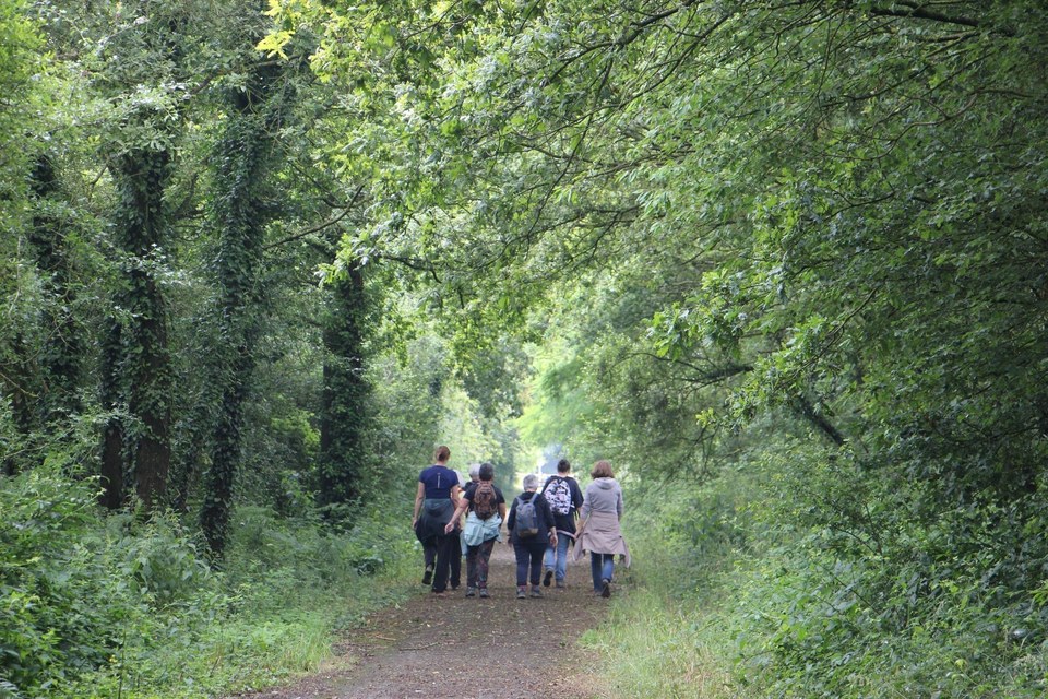 Voie Verte entre Pannecé et Teillé