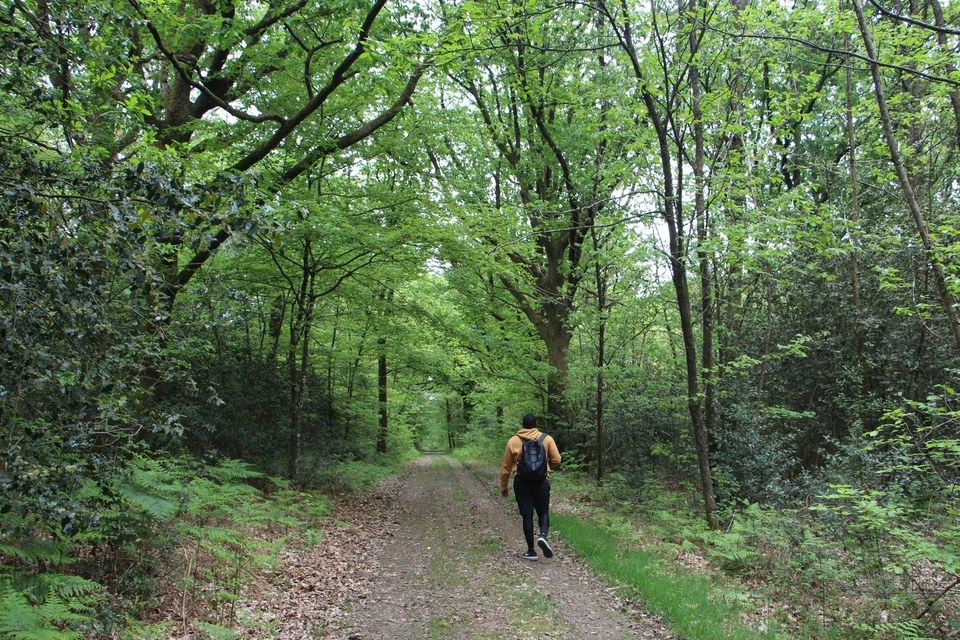 La Rotte aux Loups