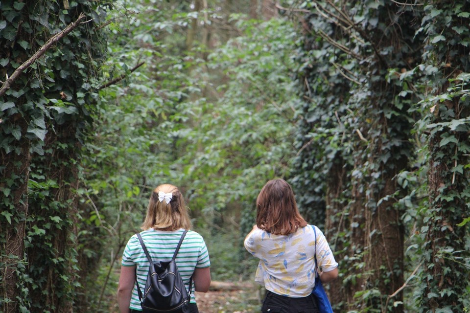 La Vallée de l'Erdre