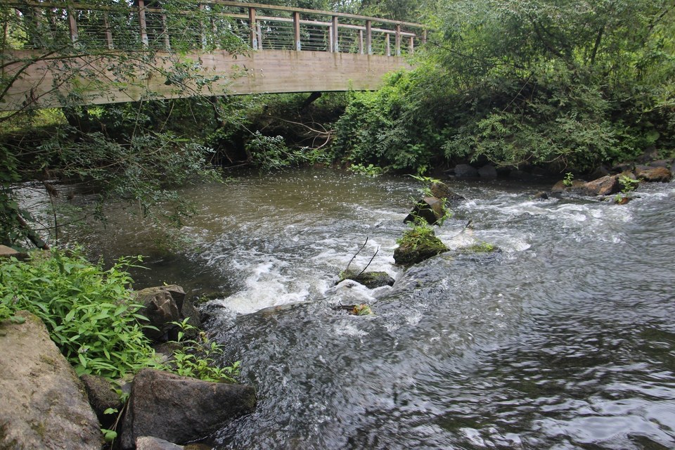 Vallée de l'Erdre