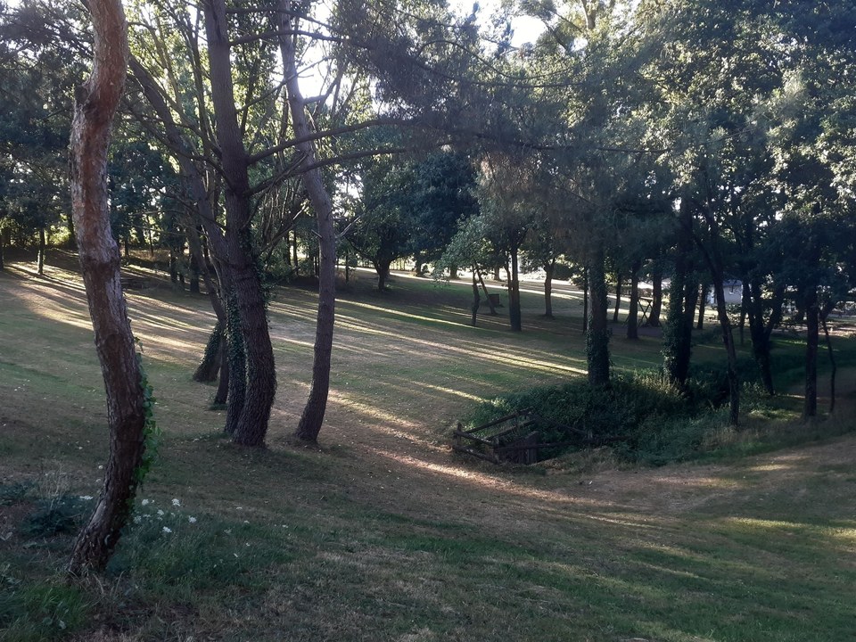 Site communal de la Bodinais._2