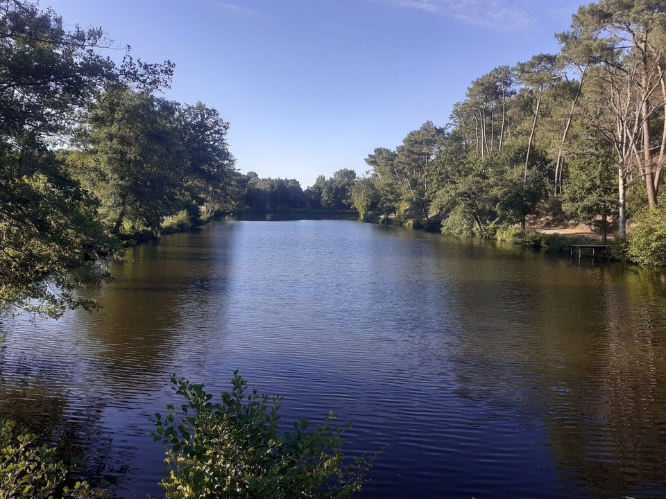 Etang de la Bodinais_3