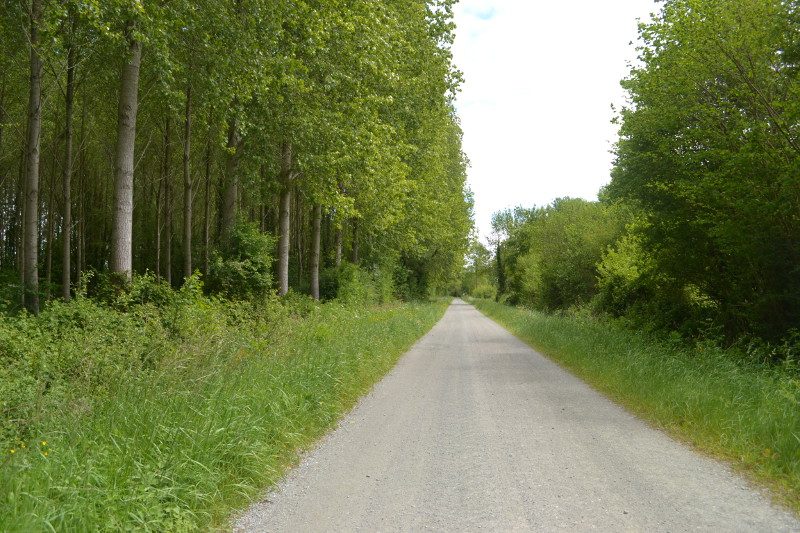 chemin_3
