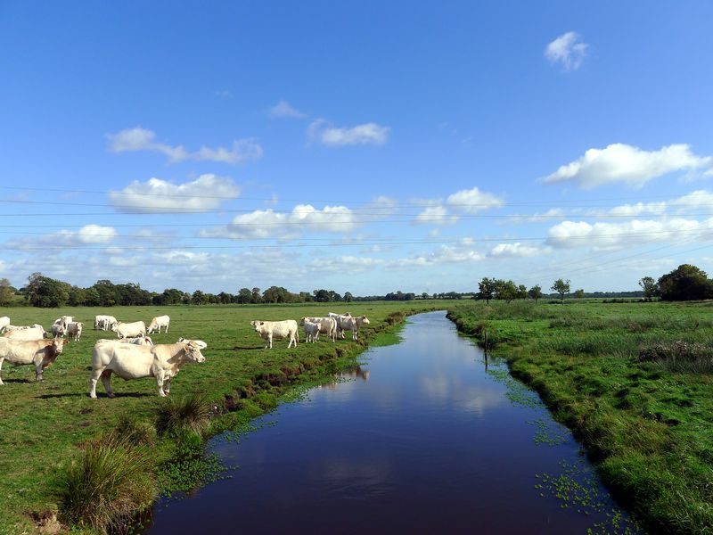 marais-du-bergelot-credit-photo-julien-sanson-584749