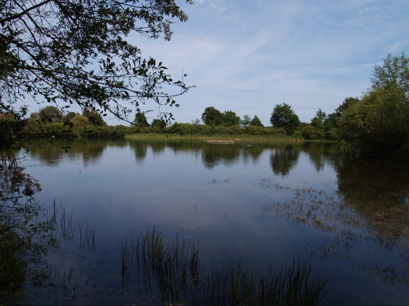 étang des landes de bilais_3