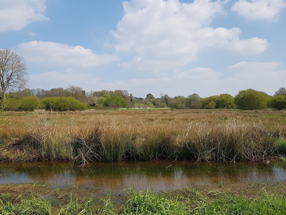 Marais de Fégréac_1