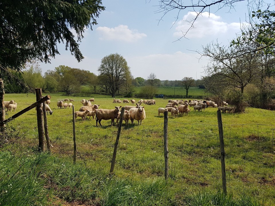 L'Etang Aumée_3