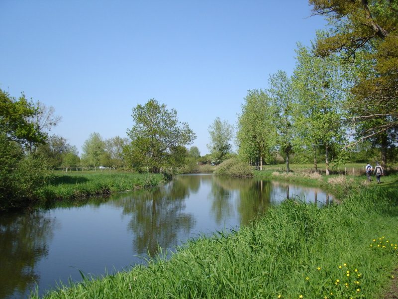Circuit des Marais (Sainte-Anne-sur-Brivet)