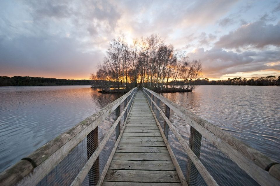 Sentier de l'Etang de Gruellau