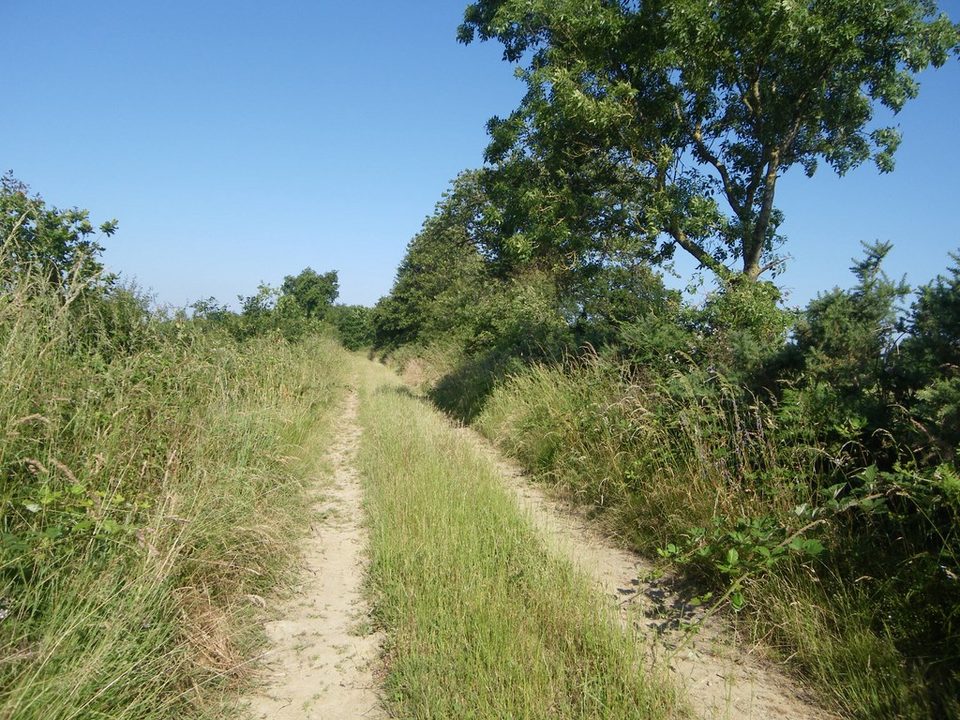 circuit-htedivatte-laremaudiere-levignoblenantes-tourisme (2)