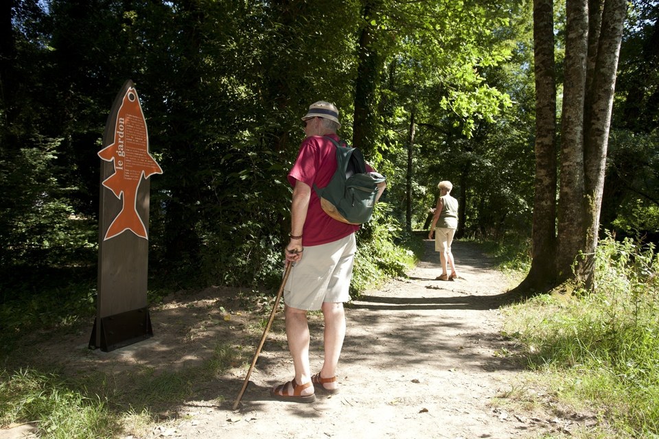 boucle pont caffino maisdon sur sevre (3)
