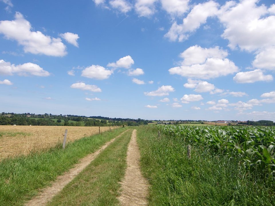 circuit-buissonnier-laboissieredore-levignoblenantes-tourisme (3)