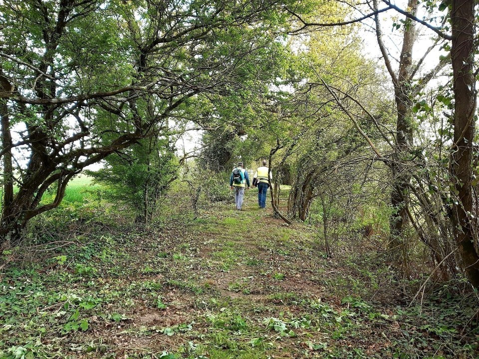 circuit-landes-laremaudiere-levignoblenantes-tourisme