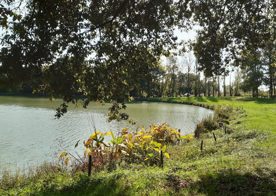 etang de stuilleries monnieres le vignoble de nantes tourisme