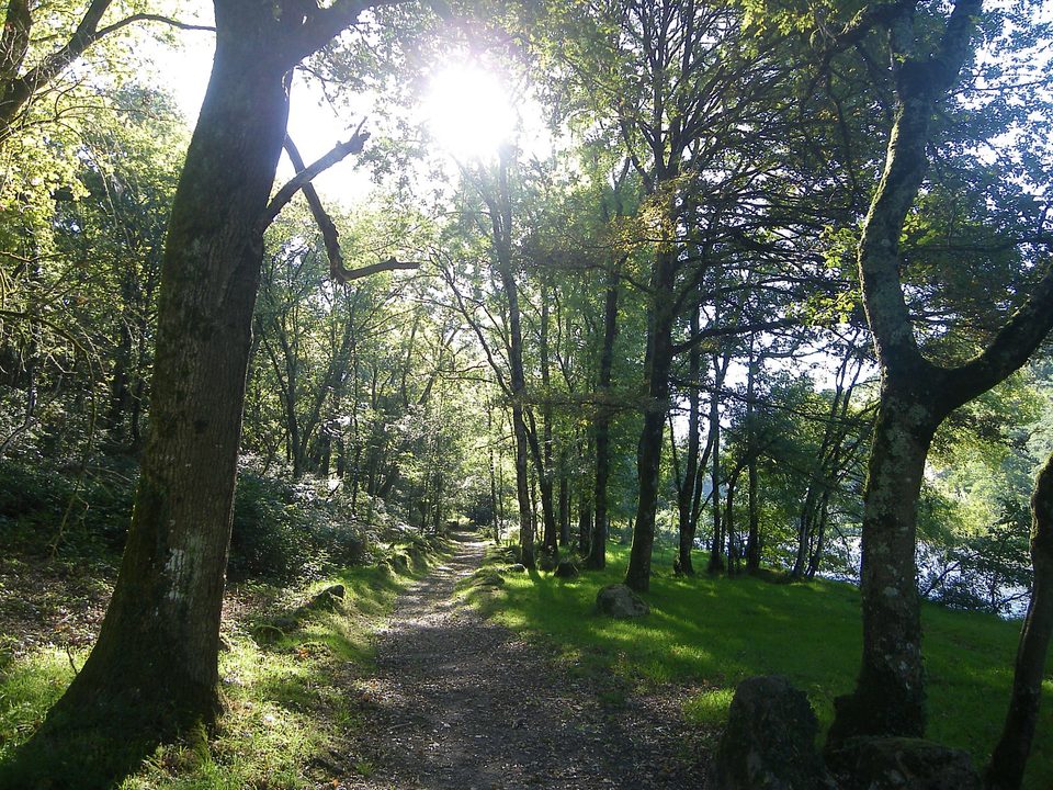circuit chemin royal getigné (5)